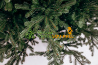 Royal cast branch