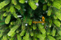Cast Carpathian branch with green tips